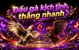 Giao diện Đá Gà mifevahogar trên mobile